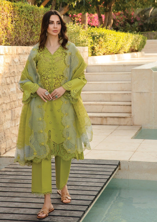 Rang Rasiya Carnation Summer'24 D-13 Freesia