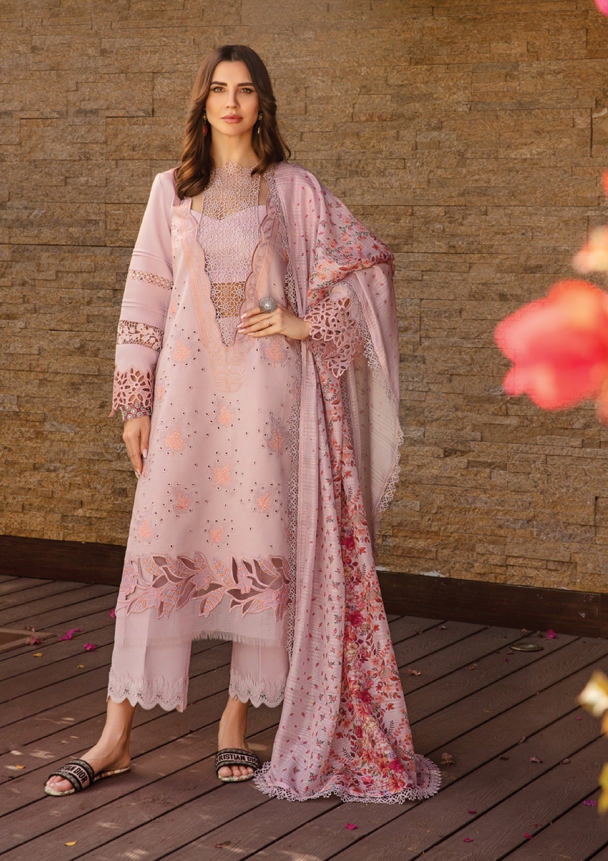 Rang Rasiya Carnation Summer'24 D-05 Zinnia