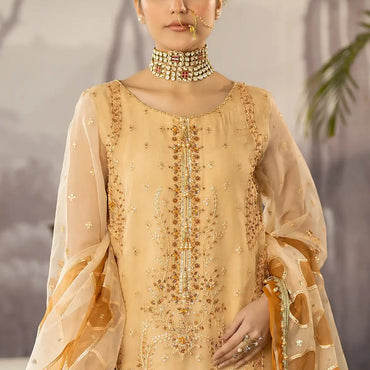 Dehleez By Raeesa'24 Vol-03 DL-1027 Saazish-e-Ropa