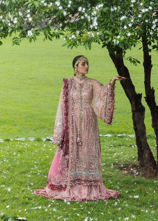 Hussain Rehar Wedding'26 Gulrukh
