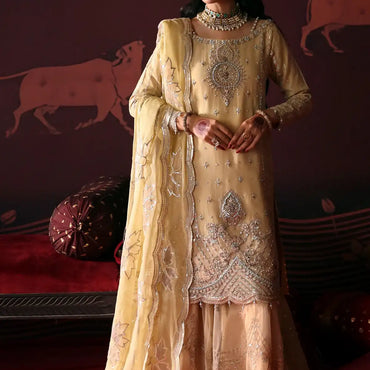 Emaan Adeel Devdas Exquisite Formal'24 MEERA