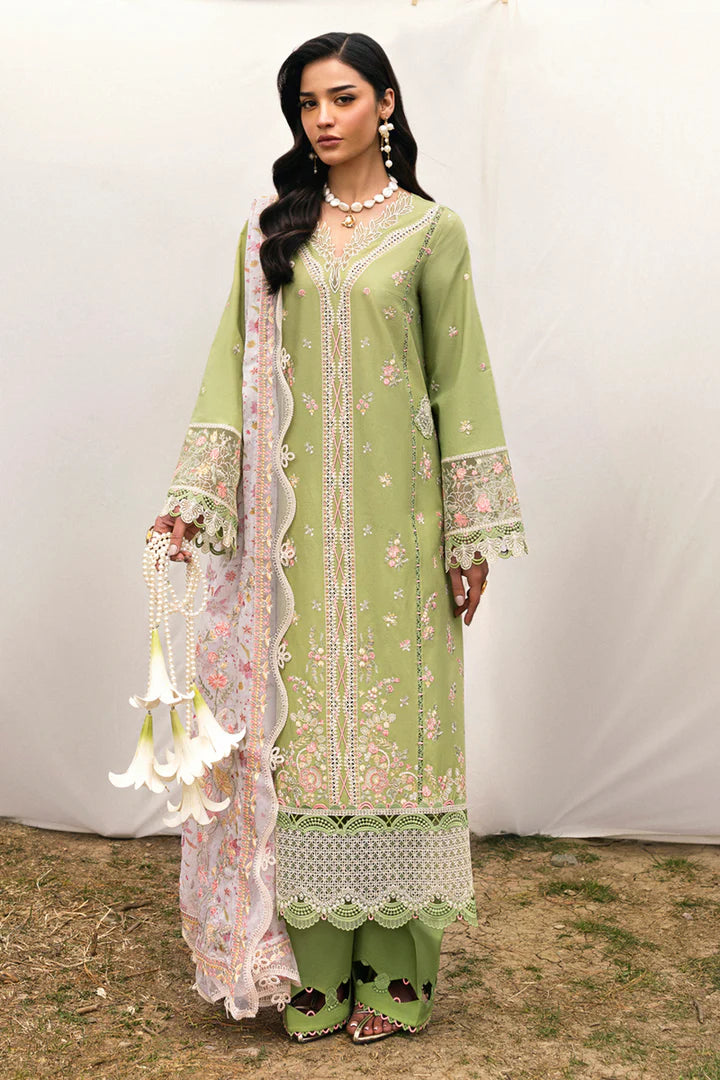 QLinekari Lawn'25 DC-01 Lovisa