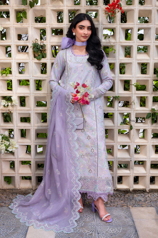 Carnation Luxury Festive Edit '25 D-11 Lily