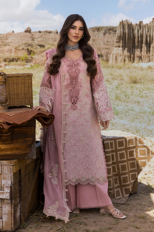 Rang Rasiya Premium Eid Edit ’25 / Aysel