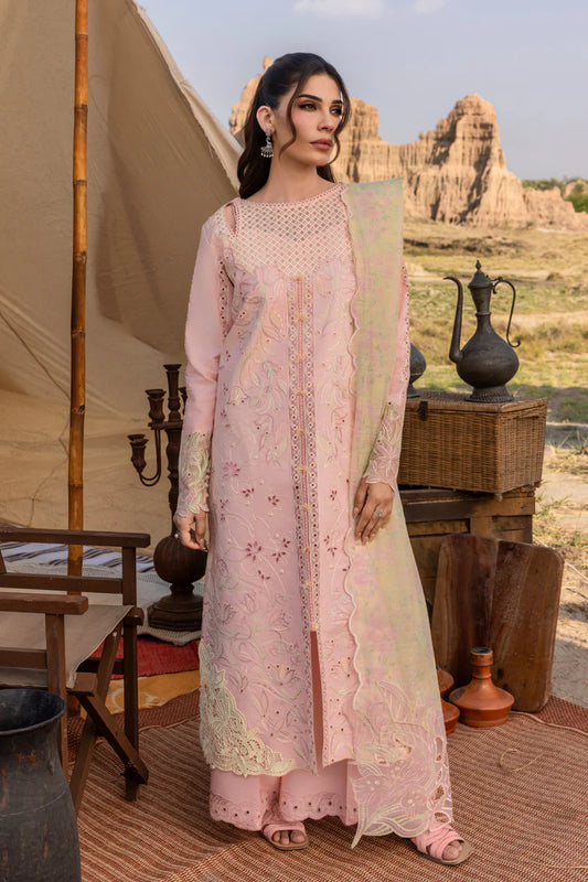 Rang Rasiya Premium Eid Edit ’25 / Nehal