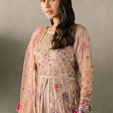 Mushq Mastani Evening Luxury Chiffon'24 SONA