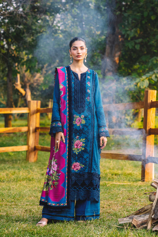 Saira Rizwan Winter'24 DINA-SRW24-04