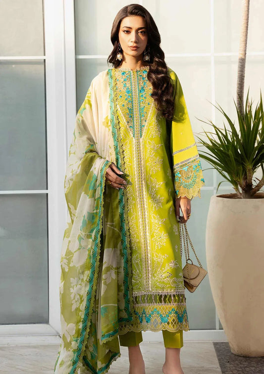 Bin Ilyas Kayra Summer Edit'25 D-312B