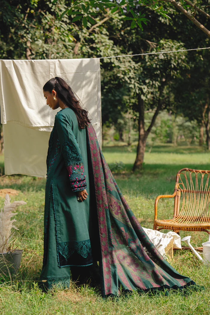 Saira Rizwan Winter'24 DEA-SRW24-01