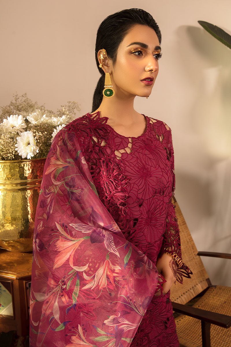 Rang Rasiya REHMAT - LUXURY COLLECTION / Aysel