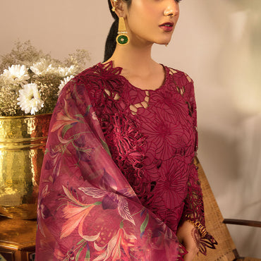 Rang Rasiya REHMAT - LUXURY COLLECTION / Aysel