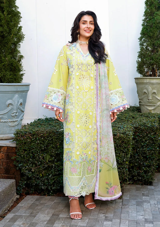 Mushq Amoi Held by Love'26 D-06 Tender Whisper