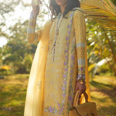 Elan lawn'23 IRA (EL23-01 B)