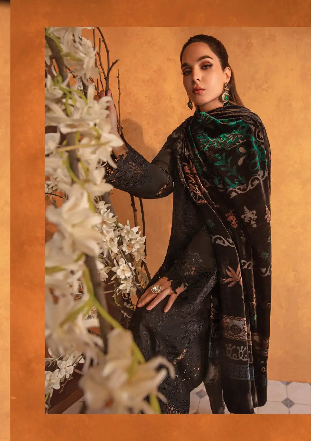 Rang Rasiya Premium Winter Edit'24 D-03 Espresso