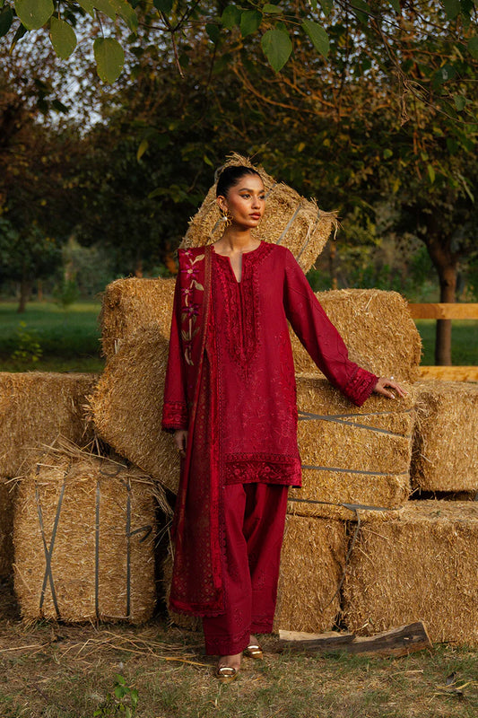 Saira Rizwan Winter'24 ESPER-SRW24-05