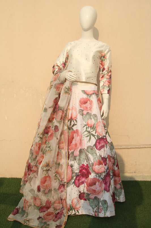 Hand Painted Lehnga 2024