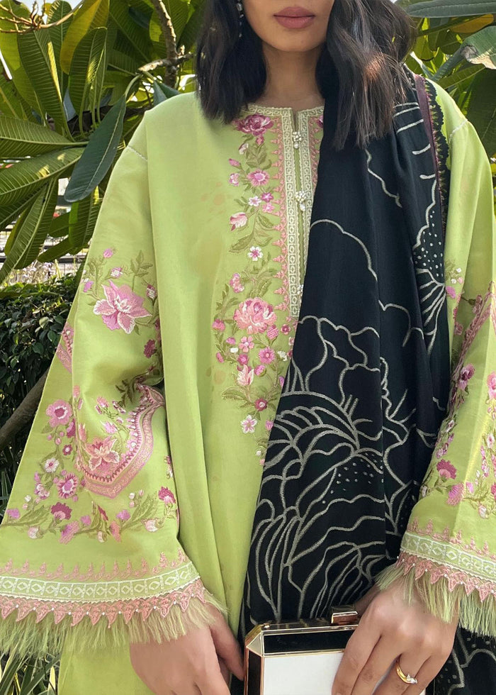 Coco Lawn'22 D-2B
