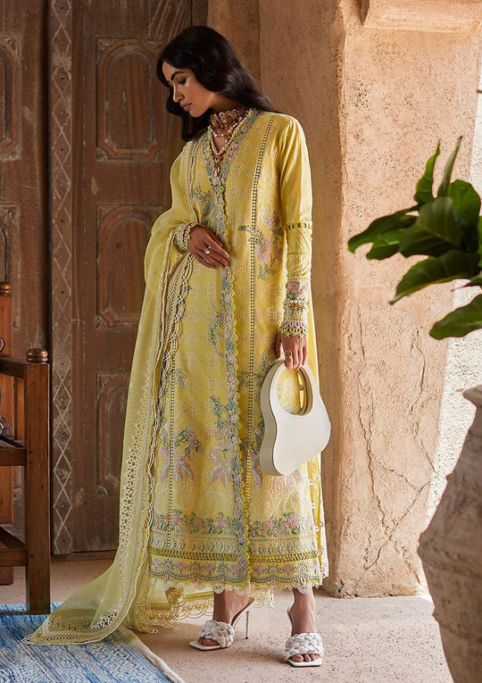 LAWN COLLECTION - SUFFUSE - FESTIVE - D#4