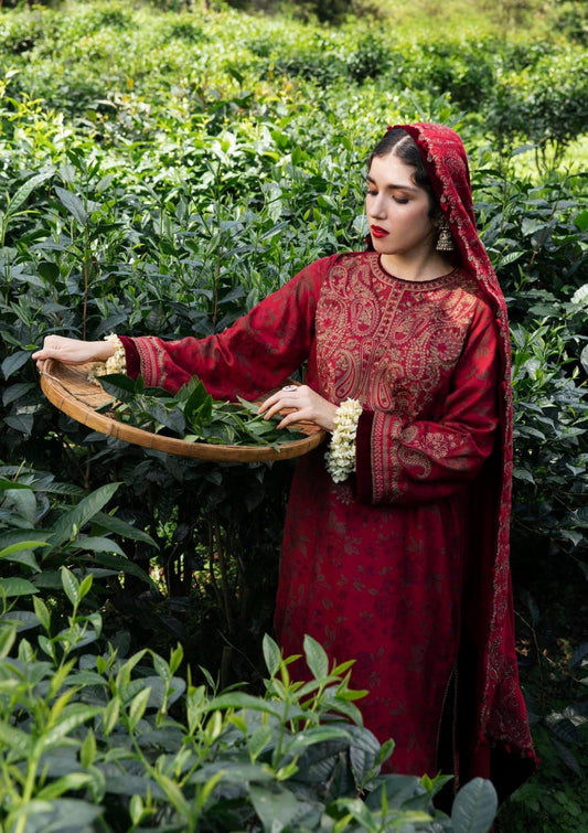 Zara Shahjahan Winter Shawl'22 (Bahar)