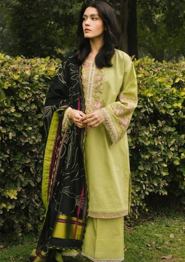 Coco Lawn'22 D-2B